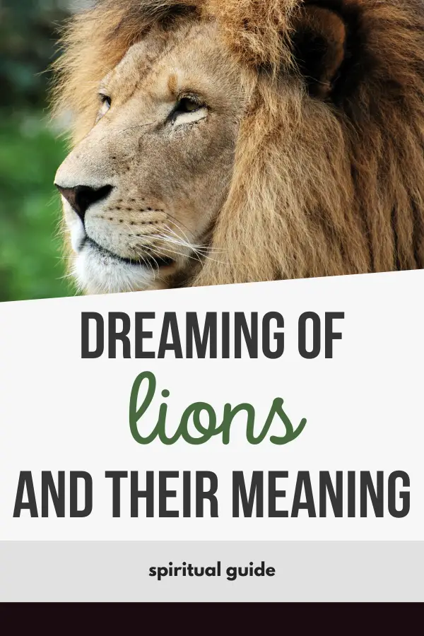 dreaming of lions